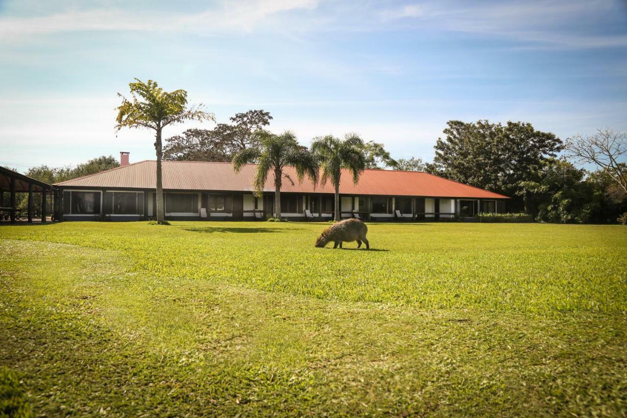 Aguape Lodge Colonia Carlos Pellegrini  Buitenkant foto