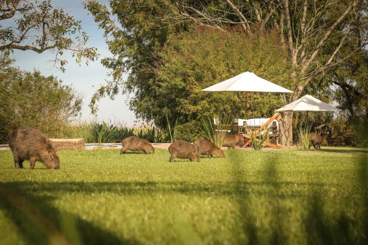 Aguape Lodge Colonia Carlos Pellegrini  Buitenkant foto